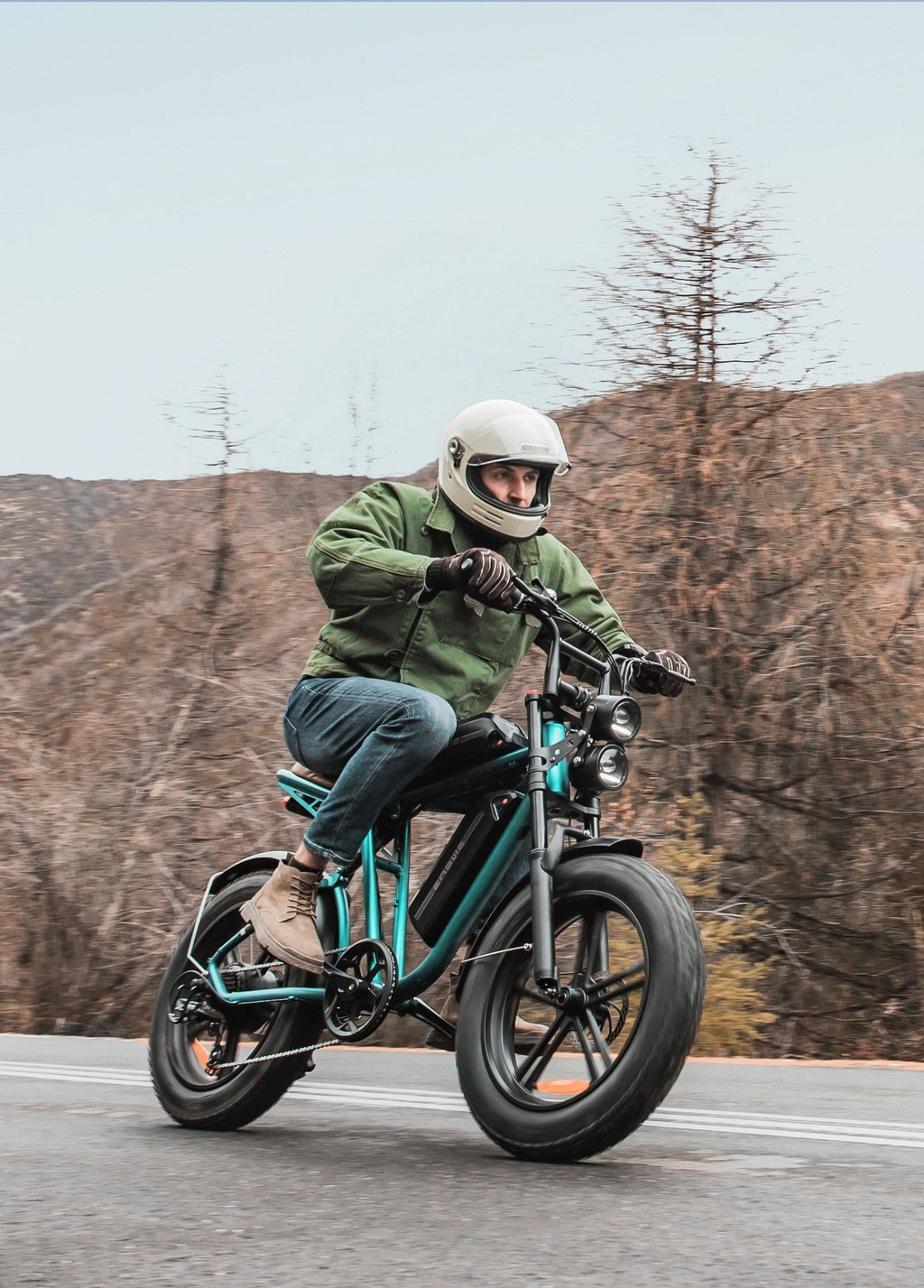 ENGWE M20, fat bike électrique – vue 25